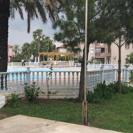 Palm City